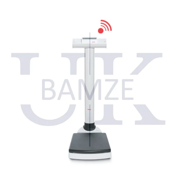 BALANZA DE PISO SECA 703